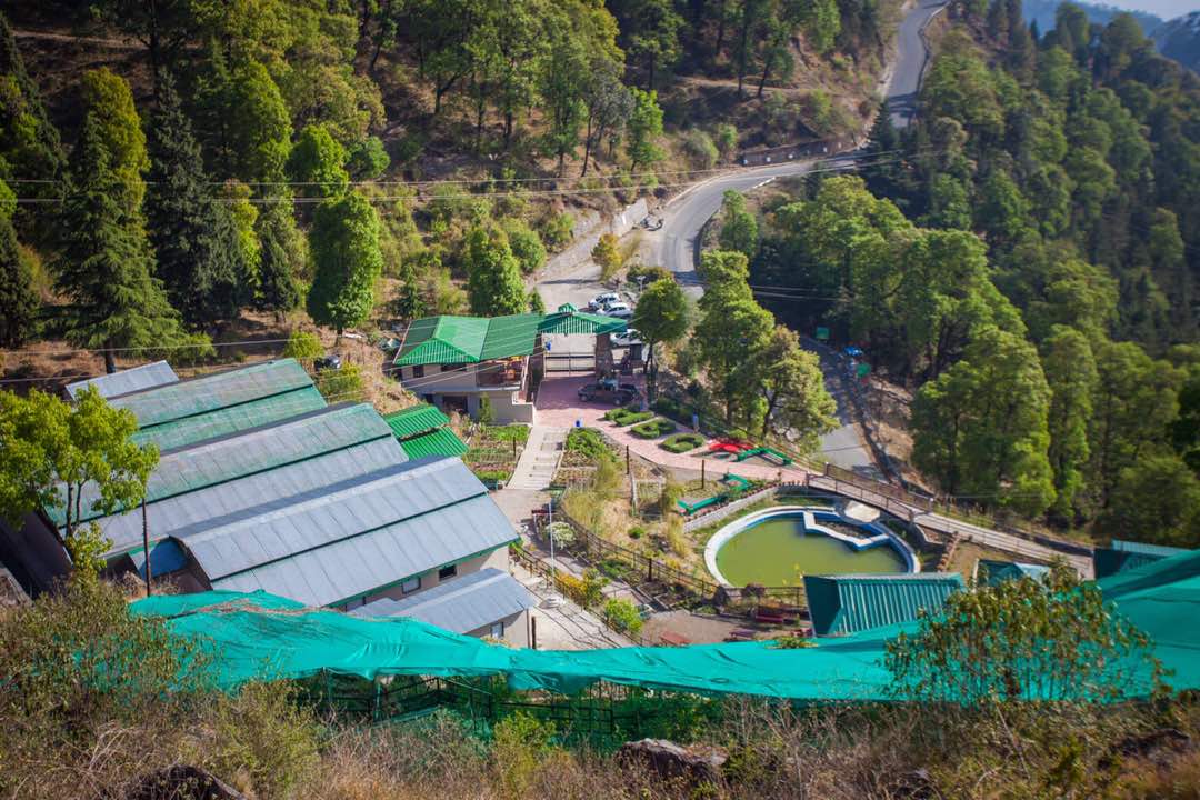 Botanical Park of Nainital