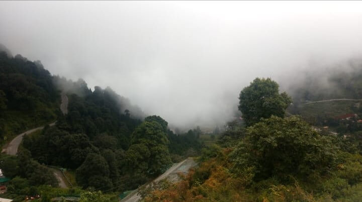 VIEW FROM TOP OF BOTANICSL GARDEN